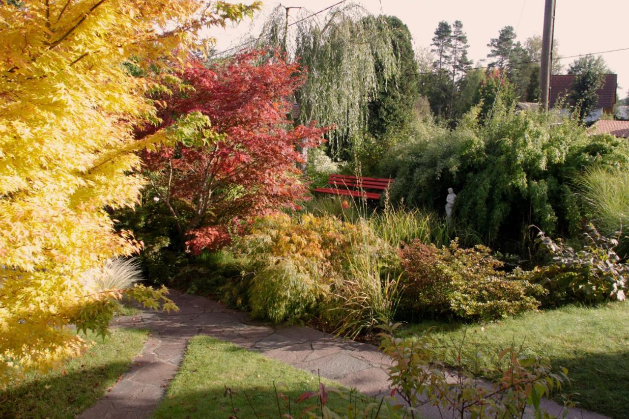 Apartmán Ferienhaus "Am Waldsaum" Kurort Gohrisch Exteriér fotografie