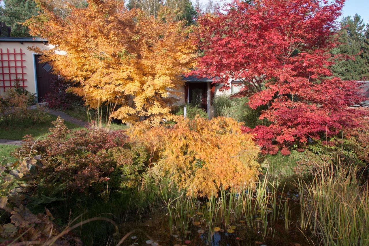 Apartmán Ferienhaus "Am Waldsaum" Kurort Gohrisch Exteriér fotografie