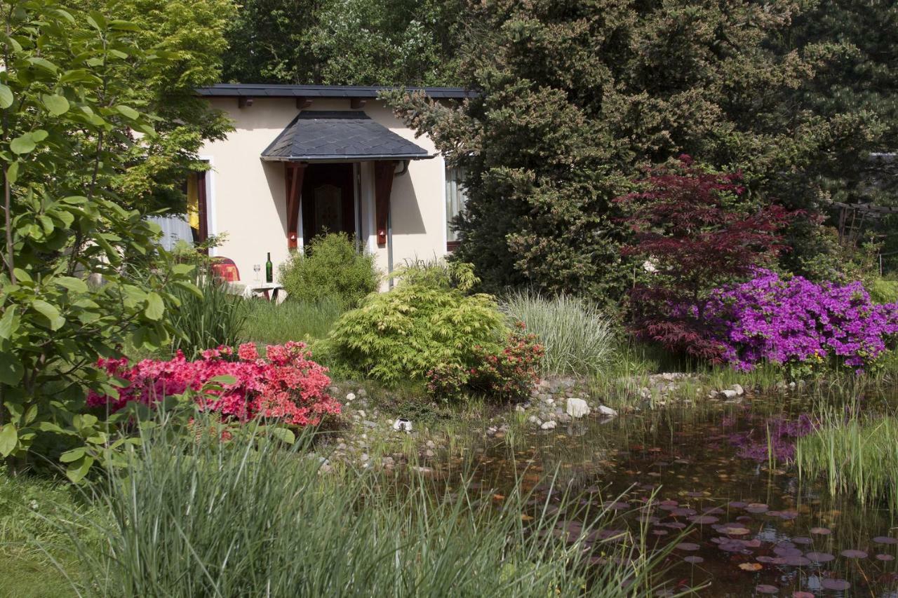 Apartmán Ferienhaus "Am Waldsaum" Kurort Gohrisch Exteriér fotografie