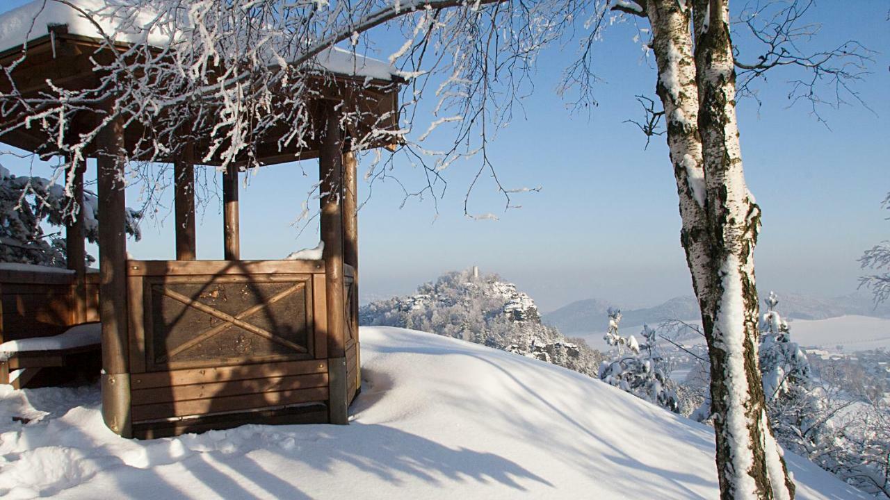 Apartmán Ferienhaus "Am Waldsaum" Kurort Gohrisch Exteriér fotografie